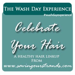 The Wash Day Experience